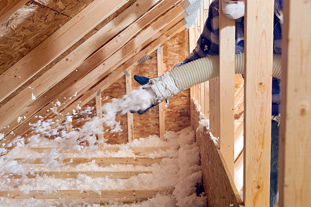 Trusted Kapolei, HI Insulation Services Experts